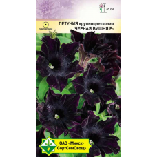 Семена петунии гибридной крупноцветковой Черная вишня F1 5шт