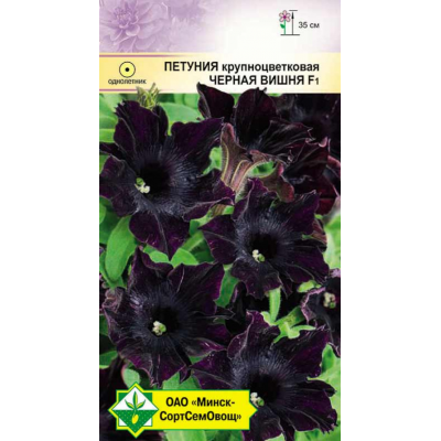 Семена петунии гибридной крупноцветковой Черная вишня F1 5шт