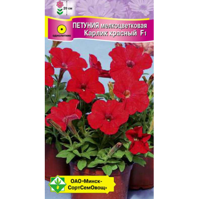 Семена петунии гибридной мелкоцветковой Карлик красный F1 7шт
