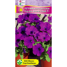 Семена петунии гибридной мелкоцветковой Карлик фиолетовый F1 7шт