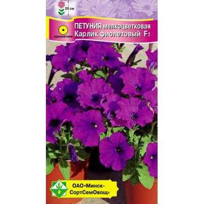 Семена петунии гибридной мелкоцветковой Карлик фиолетовый F1 7шт