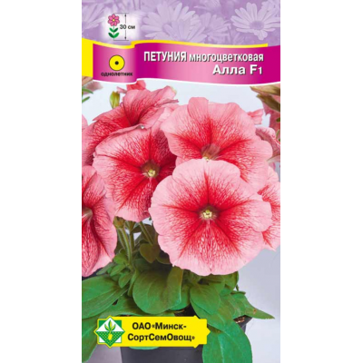 Петуния гибр многоцв Алла F1 10шт