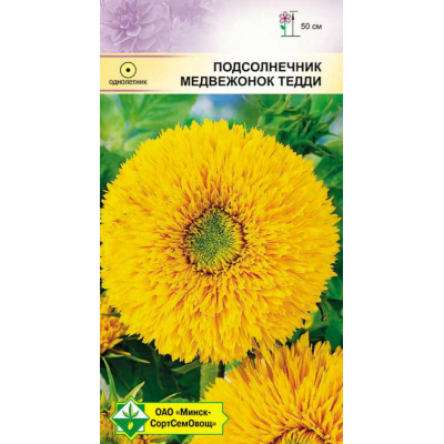 Подсолнечник декоративный Медвежонок Тедди, 1г (Satimex, Германия)