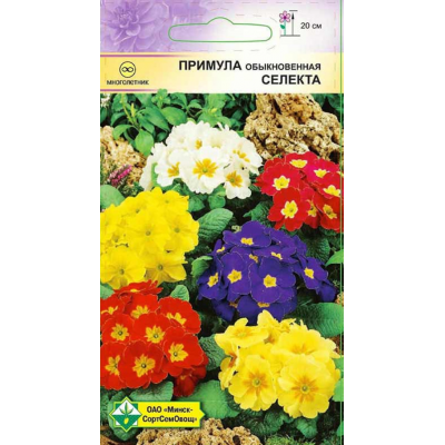 Семена примулы Селекта см 0.05г