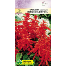 Семена сальвии блестящей Волшебный огонь 0.1г