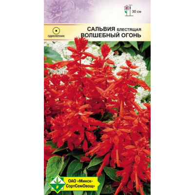Семена сальвии блестящей Волшебный огонь 0.1г