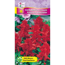 Семена сальвии блестящей Красная королева 0.1г