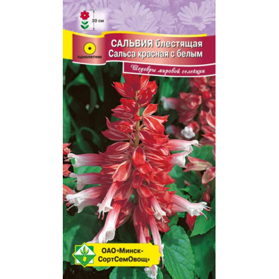 Семена сальвии блестящей Сальса красная с белым 10шт