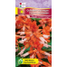 Сальвия блестящая Сальса лососевая, 10 семян (Cerny Seed, МССО) Сальвия блестящая Сальса лососевая, 10 семян (Cerny Seed, МССО)