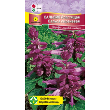 Семена сальвии блестящей Сальса сиреневая 10шт