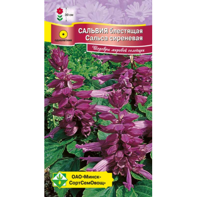 Семена сальвии блестящей Сальса сиреневая 10шт