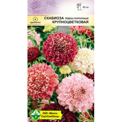 Семена скабиозы темно-пурпурной Крупноцветковая см 0.3г