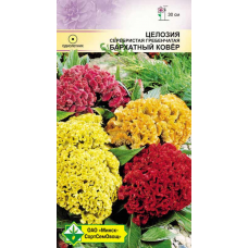 Семена целозии гребенчатой Бархатный ковер см 0.2г