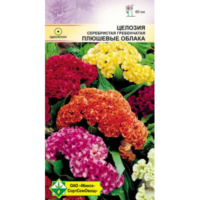 Семена целозии гребенчатой Плюшевые облака см 0.2г