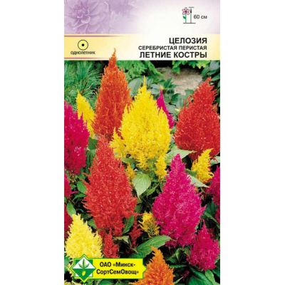 Семена целозии перистой Летние костры см 0.2г