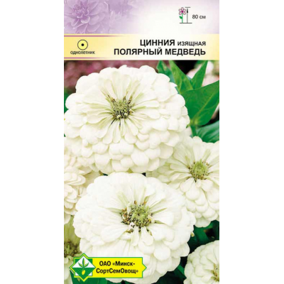 Семена циннии изящной георгиноцветной Полярный медведь 0.5г