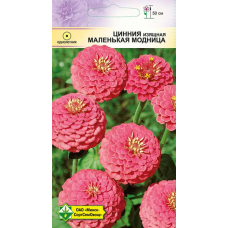 Семена циннии изящной лилипутовой Маленькая модница 0.5г