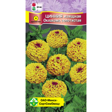 Семена циннии изящной Оклахома Золотистая 0.2г