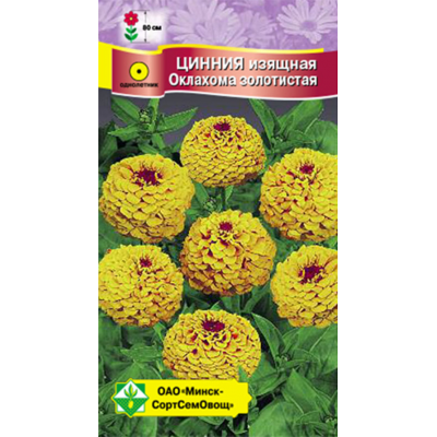 Семена циннии изящной Оклахома Золотистая 0.2г