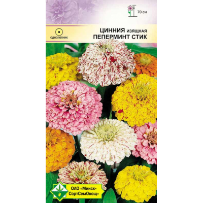 Семена циннии изящной Пеперминт стик 0.5г