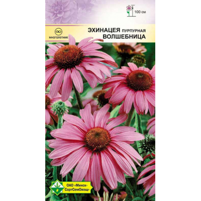 Семена эхинацеи пурпурной Волшебница 0.3г