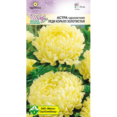 Семена Астра Леди Коралл Золотистая 0.1г