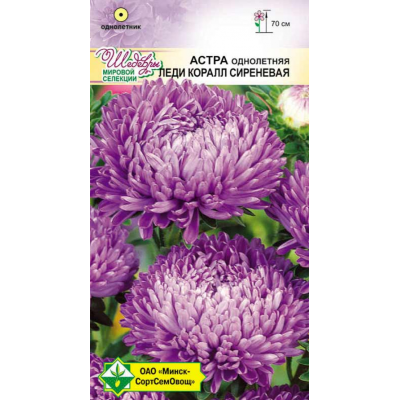 Семена астры Леди Коралл Сиреневая 0.1г