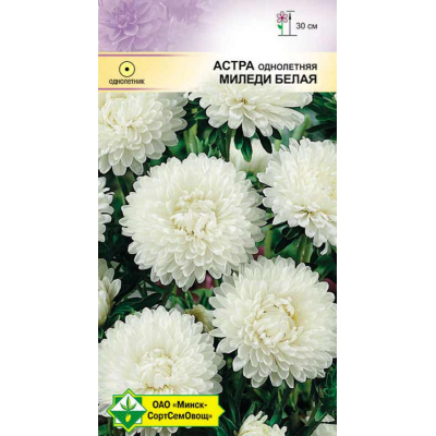 Семена астры Миледи Белая 0.15г