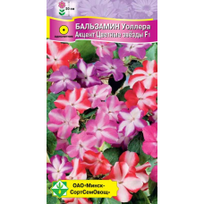 Семена Бальзамин Уоллера Акцент Цветные звезды F1 7шт