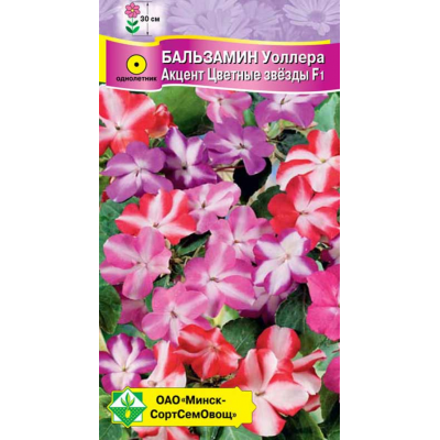 Семена Бальзамин Уоллера Акцент Цветные звезды F1 7шт