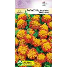 Семена Бархатцы откл Гармония 0.3г
