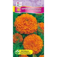 Семена бархатцев прямостоячих Гавайи 0.5г