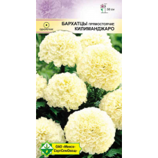 Бархатцы прямостоячие Килиманджаро, 15 семян (Satimex, Германия)