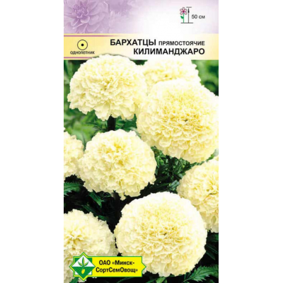 Бархатцы прямостоячие Килиманджаро, 15 семян (Satimex, Германия)