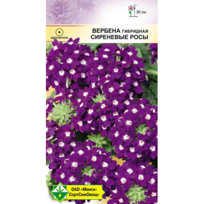 Семена Вербена гибридная Сиреневые росы 0.1г
