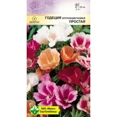 Семена Годеция крупноцветковая Простая см 0.3г