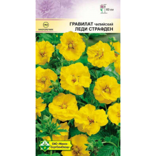 Семена гравилата чилийского Леди Страфден 0.1г