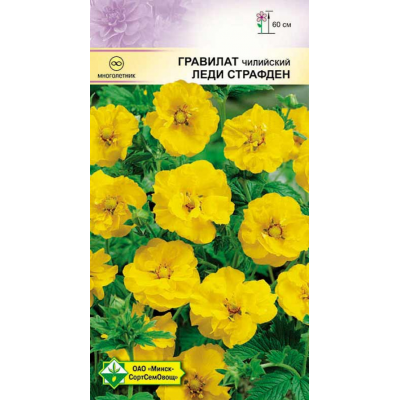 Семена гравилата чилийского Леди Страфден 0.1г
