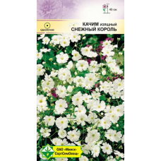 Семена Качим изящный Снежный король 0.3г
