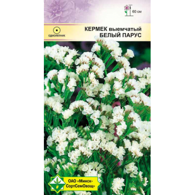 Семена Кермек выемчатый Белый парус 0.15г