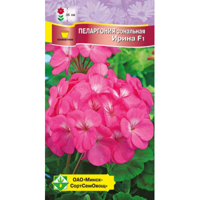 Пеларгония зональная Ирина F1, семена 4шт (Cerny Seed, Чехия)