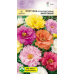 Портулак крупноцветковый Махровый, смесь 0,15г (Satimex, МССО) Портулак крупноцветковый Махровый, смесь 0,15г (Satimex, МССО)