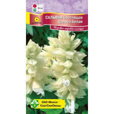Семена Сальвия блестящая Сальса белая 10шт
