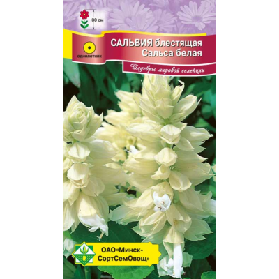 Семена Сальвия блестящая Сальса белая 10шт