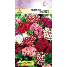 Семена Гвоздика турецкая Простая см 0.5г
