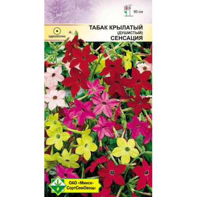 Семена табака крылатого Сенсация см 0.15г