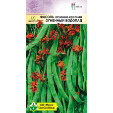 Фасоль зерновая огненно-красная Огненный водопад, 7 семян (Satimex, Германия)