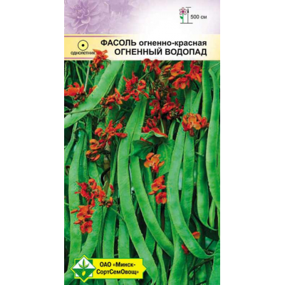 Фасоль зерновая огненно-красная Огненный водопад, 7 семян (Satimex, Германия)