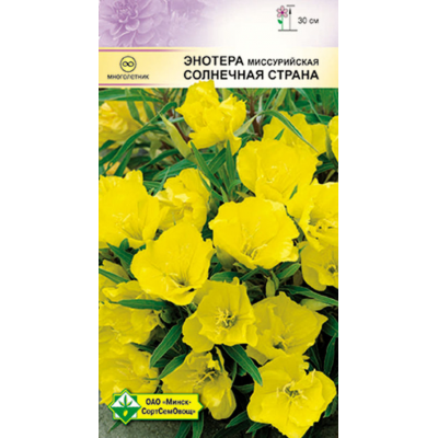 Семена энотеры Солнечная страна 0.2г