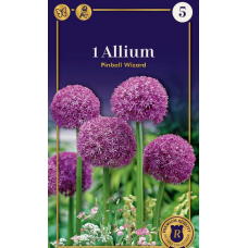Семена Аллиум Pinball Wizard (R. De Ree)